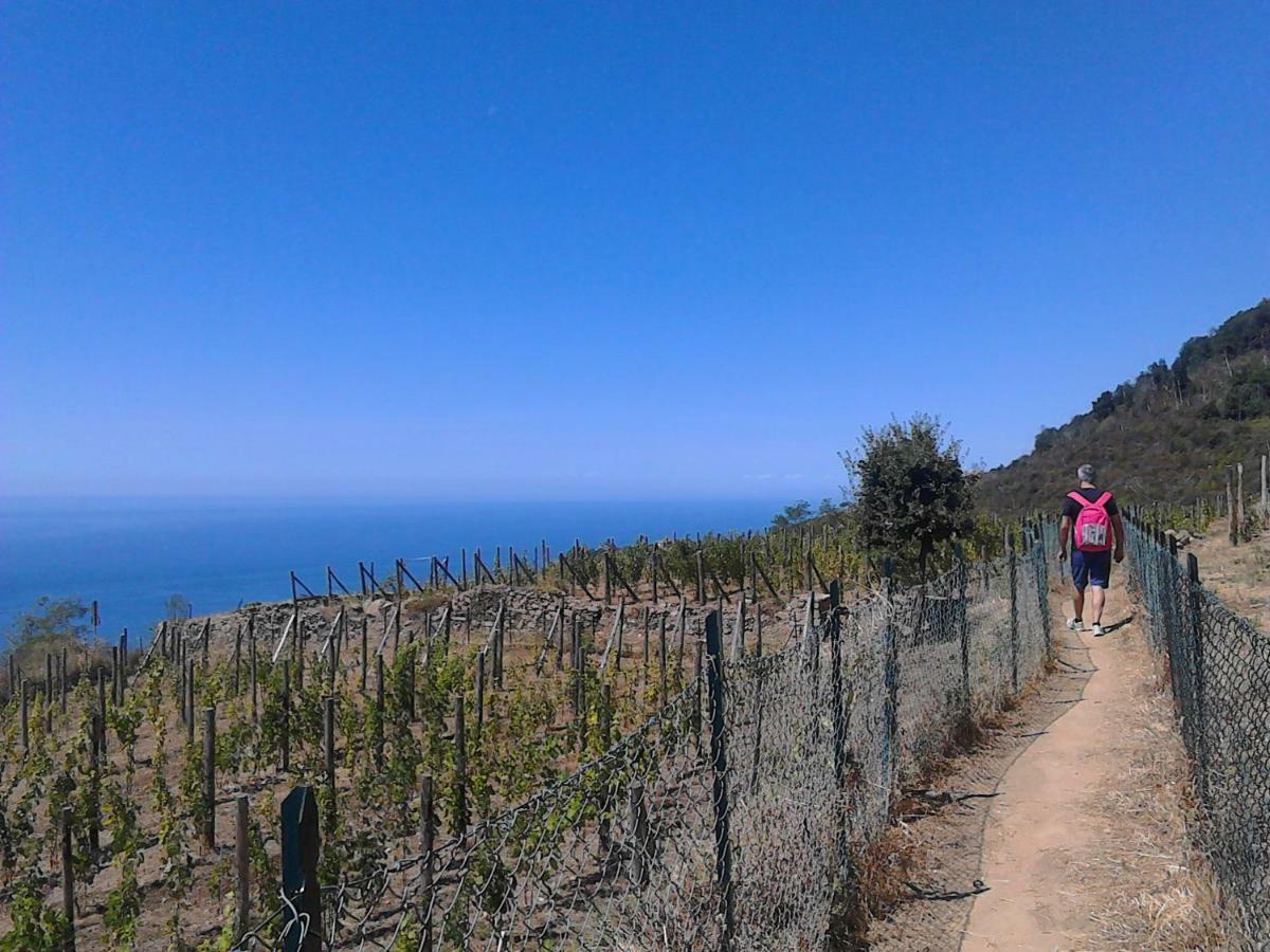 Mare, Monti E...Cinque Terre Apartment Специя Екстериор снимка